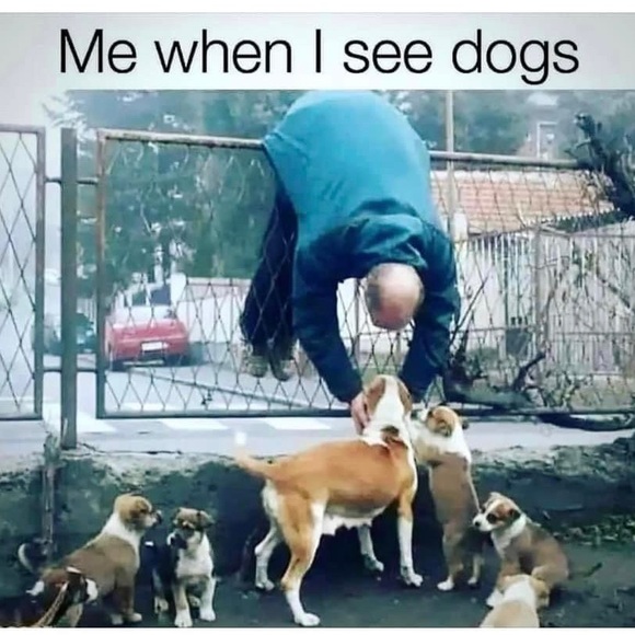 Meet your Posher, Francesca - Picture 5 of 11